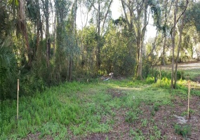 APOPKA, Florida 32703, ,Land,For Sale,G5051469