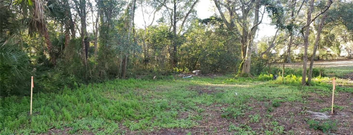 APOPKA, Florida 32703, ,Land,For Sale,G5051469