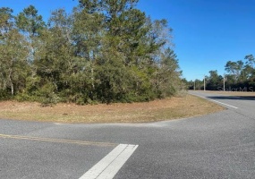 0 MARION OAKS BLVD, OCALA, Florida 34473, ,Land,For Sale,0 MARION OAKS BLVD,G5050827