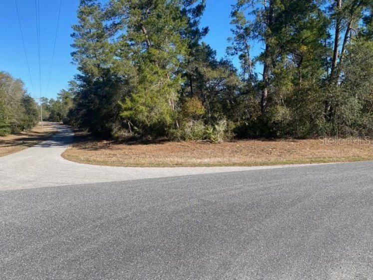 0 MARION OAKS BLVD, OCALA, Florida 34473, ,Land,For Sale,0 MARION OAKS BLVD,G5050827