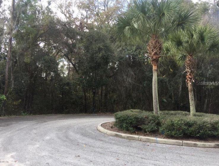 0 43RD STREET, OCALA, Florida 34480, ,Land,For Sale,43RD,OM633717