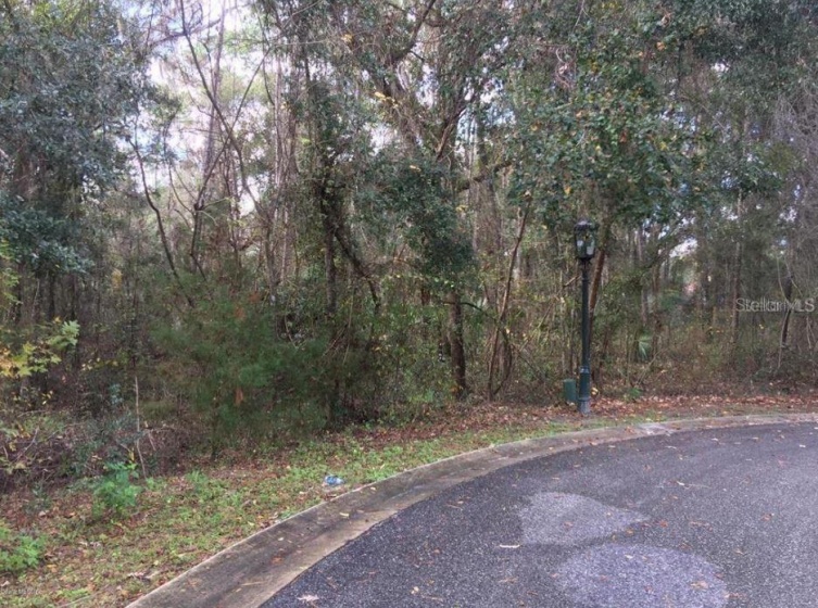 0 43RD STREET, OCALA, Florida 34480, ,Land,For Sale,43RD,OM633717