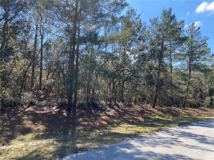 SW 153RD LANE ROAD, OCALA, Florida 34473, ,Land,For Sale,SW 153RD LANE ROAD,A4524332