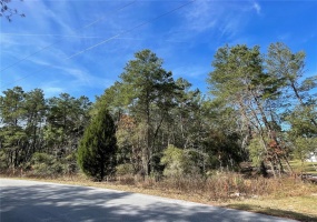 lot 20 40 COURT ROAD, OCALA, Florida 34476, ,Land,For Sale,40 COURT,OM633813