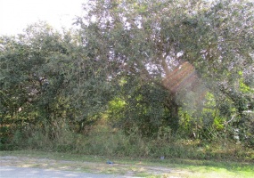 0 29TH TERRACE, OCALA, Florida 34473, ,Land,For Sale,29TH,O6001874