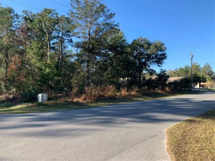0 114 PLACE, OCALA, Florida 34476, ,Land,For Sale,114,OM632364