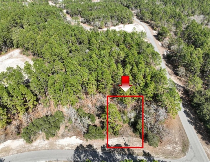 TBD 138TH STREET, OCALA, Florida 34473, ,Land,For Sale,138TH,OM633841