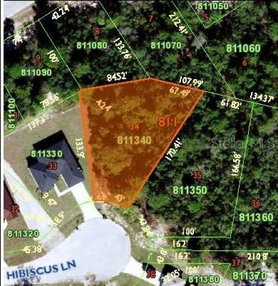 251 HIBISCUS LANE, POINCIANA, Florida 34759, ,Land,For Sale,HIBISCUS,O6001960