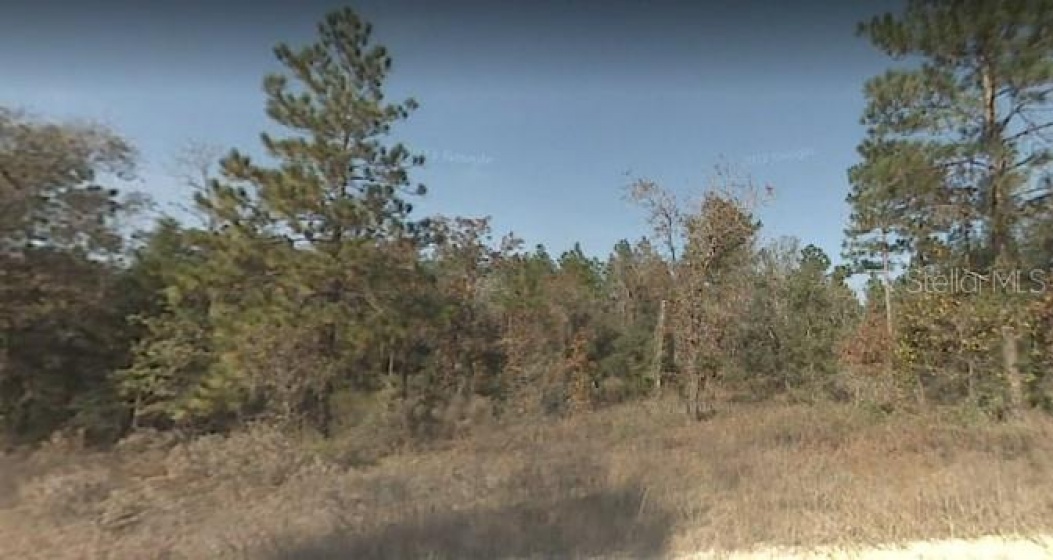 TBD 168TH AVENUE, OCALA, Florida 34473, ,Land,For Sale,168TH,OM633866