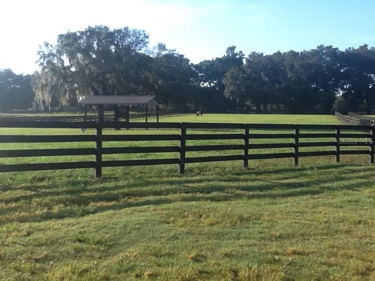 2492 100 STREET, OCALA, Florida 34472, ,Land,For Sale,100,OM633331