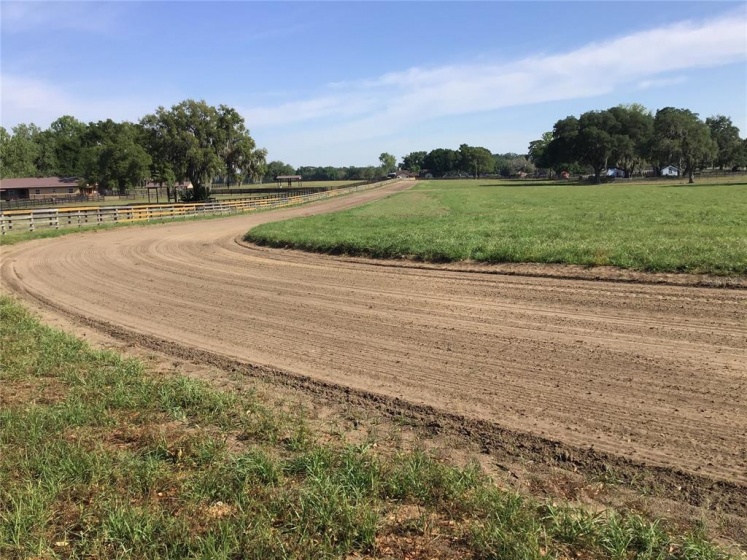 2492 100 STREET, OCALA, Florida 34472, ,Land,For Sale,100,OM633331