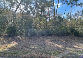 0 131ST PLACE ROAD, OCALA, Florida 34473, ,Land,For Sale,131ST PLACE,OM633810
