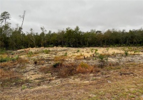 15 CYPRESS ROAD, OCALA, Florida 34472, ,Land,For Sale,CYPRESS,L4927842