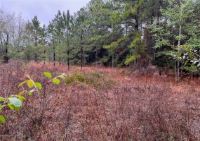 TBD LOCUST COURSE RADIAL, OCALA, Florida 34472, ,Land,For Sale,LOCUST COURSE,OM633793