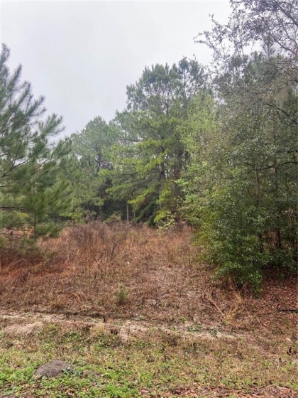 TBD LOCUST COURSE RADIAL, OCALA, Florida 34472, ,Land,For Sale,LOCUST COURSE,OM633793