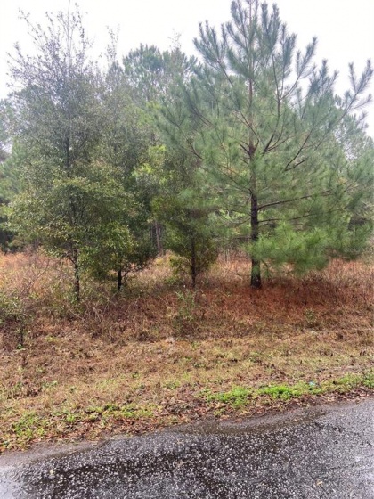 TBD LOCUST COURSE RADIAL, OCALA, Florida 34472, ,Land,For Sale,LOCUST COURSE,OM633793