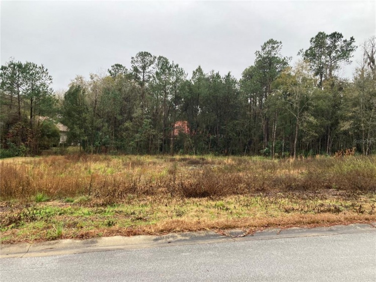 TBD 41ST STREET, OCALA, Florida 34480, ,Land,For Sale,41ST,OM633941