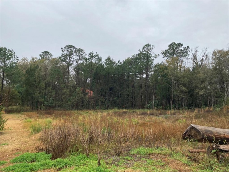 TBD 41ST STREET, OCALA, Florida 34480, ,Land,For Sale,41ST,OM633941