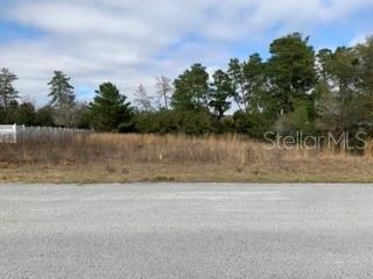 SW 103RD PL, OCALA, Florida 34476, ,Land,For Sale,SW 103RD PL,OM634011