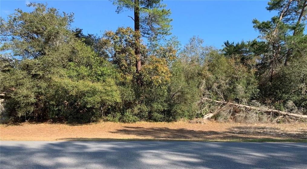 MARION OAKS GOLF WAY, OCALA, Florida 34473, ,Land,For Sale,MARION OAKS GOLF WAY,OM634013