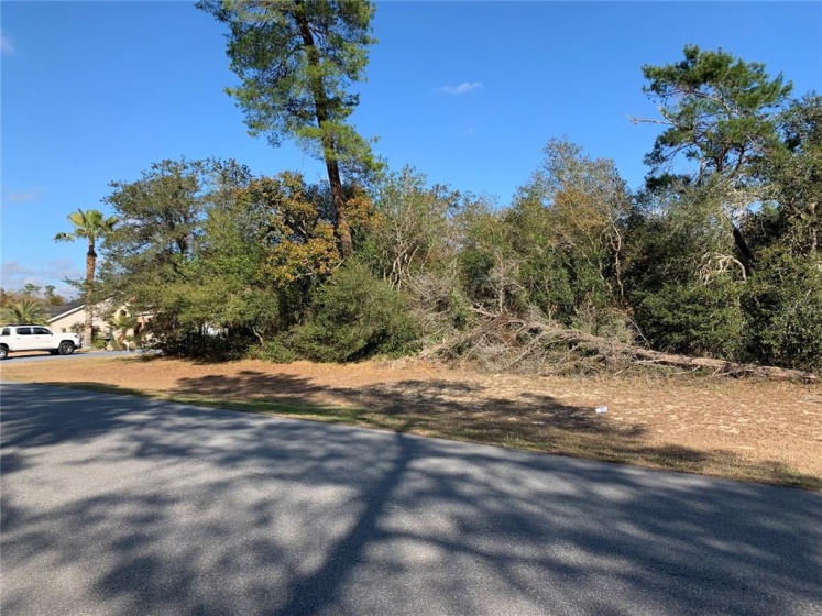 MARION OAKS GOLF WAY, OCALA, Florida 34473, ,Land,For Sale,MARION OAKS GOLF WAY,OM634013