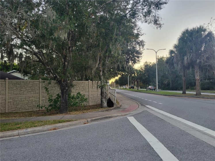 2141 CORK OAK STREET, SARASOTA, Florida 34232, ,Land,For Sale,CORK OAK,A4518215