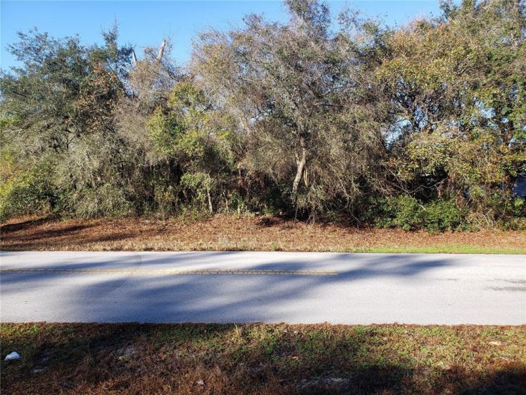 TBD 33RD CIRCLE, OCALA, Florida 34473, ,Land,For Sale,33RD,OM633980