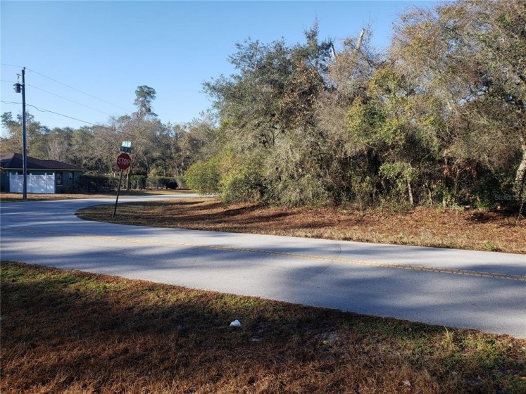 TBD 33RD CIRCLE, OCALA, Florida 34473, ,Land,For Sale,33RD,OM633980