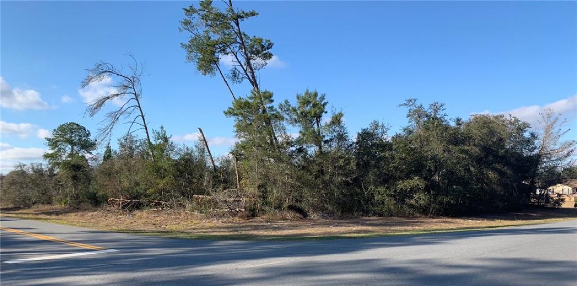 MARION OAKS GOLF WAY, OCALA, Florida 34473, ,Land,For Sale,MARION OAKS GOLF WAY,OM634016