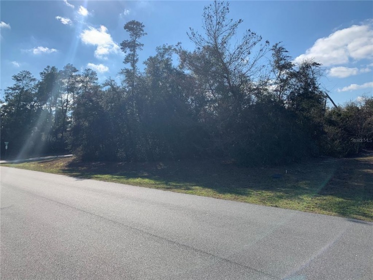 MARION OAKS GOLF WAY, OCALA, Florida 34473, ,Land,For Sale,MARION OAKS GOLF WAY,OM634016