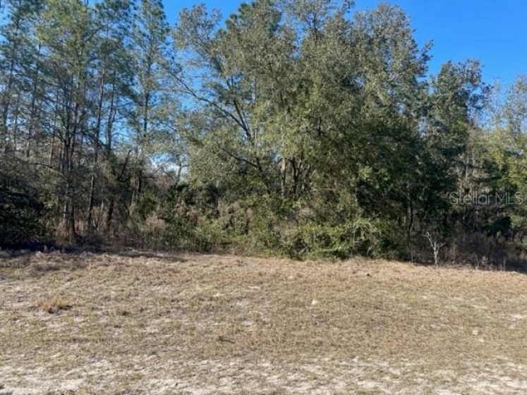 00 78TH TERRACE, OCALA, Florida 34473, ,Land,For Sale,78TH,OM634045