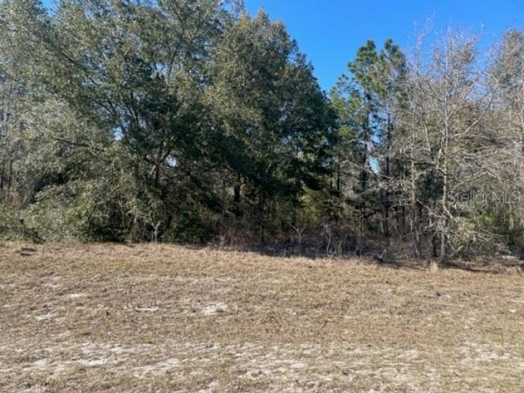 00 78TH TERRACE, OCALA, Florida 34473, ,Land,For Sale,78TH,OM634045