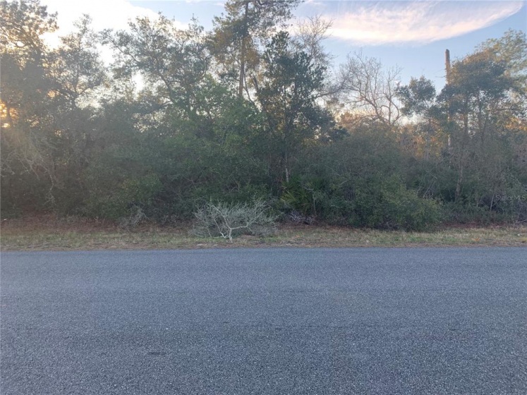 MARION OAKS DRIVE, OCALA, Florida 34473, ,Land,For Sale,MARION OAKS DRIVE,OM634050
