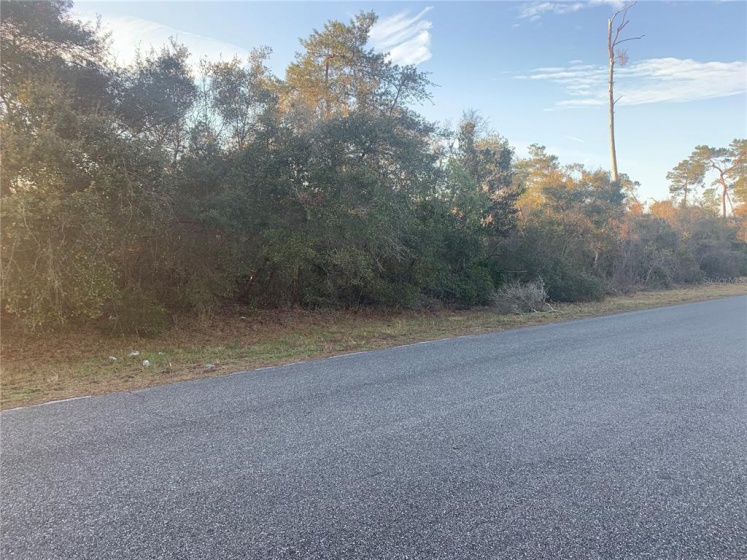 MARION OAKS DRIVE, OCALA, Florida 34473, ,Land,For Sale,MARION OAKS DRIVE,OM634050