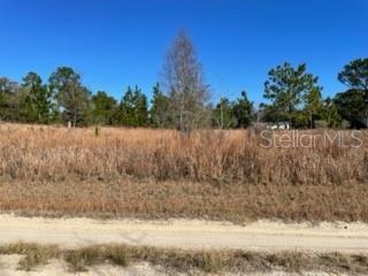14485 26TH LANE, OCALA, Florida 34481, ,Land,For Sale,26TH,OM634078