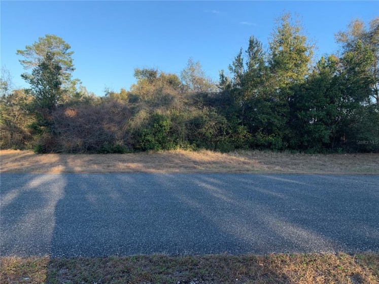 SE 44TH CIR, OCALA, Florida 34473, ,Land,For Sale,SE 44TH CIR,OM634085