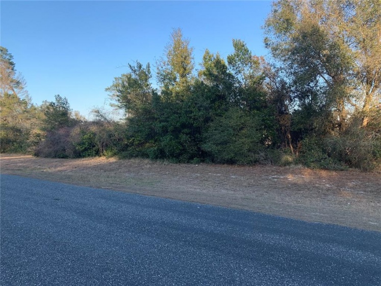 SE 44TH CIR, OCALA, Florida 34473, ,Land,For Sale,SE 44TH CIR,OM634085