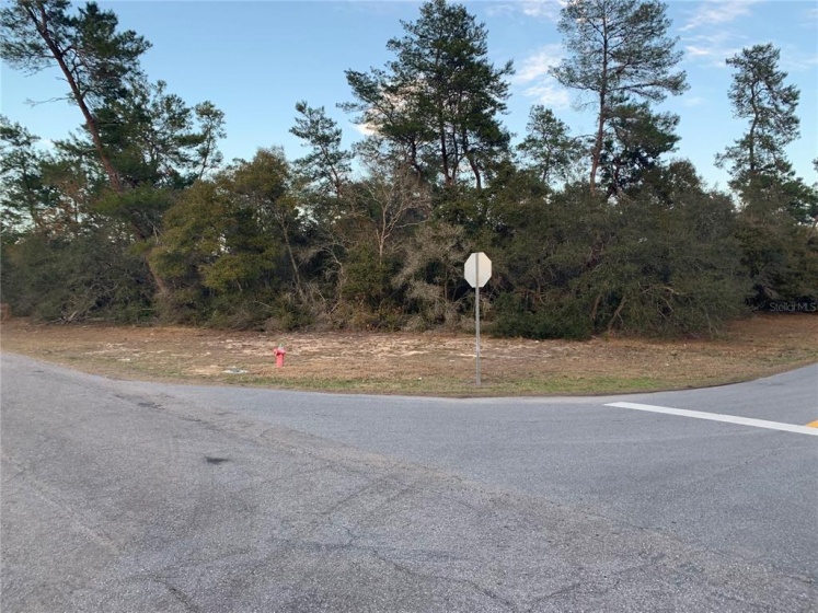 SW 39TH CIR, OCALA, Florida 34473, ,Land,For Sale,SW 39TH CIR,OM634099