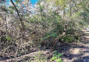 0 SWEETWATER TRAIL, KISSIMMEE, Florida 34747, ,Land,For Sale,SWEETWATER,G5051713