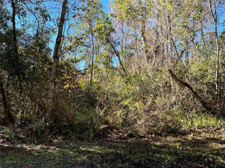 0 SWEETWATER TRAIL, KISSIMMEE, Florida 34747, ,Land,For Sale,SWEETWATER,G5051713