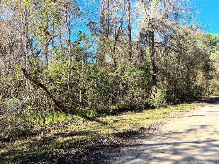 0 SWEETWATER TRAIL, KISSIMMEE, Florida 34747, ,Land,For Sale,SWEETWATER,G5051713