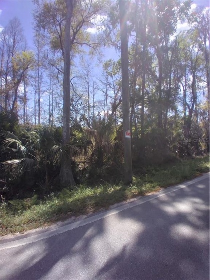 2050 EVANS ROAD, POLK CITY, Florida 33868, ,Land,For Sale,EVANS,S5049170