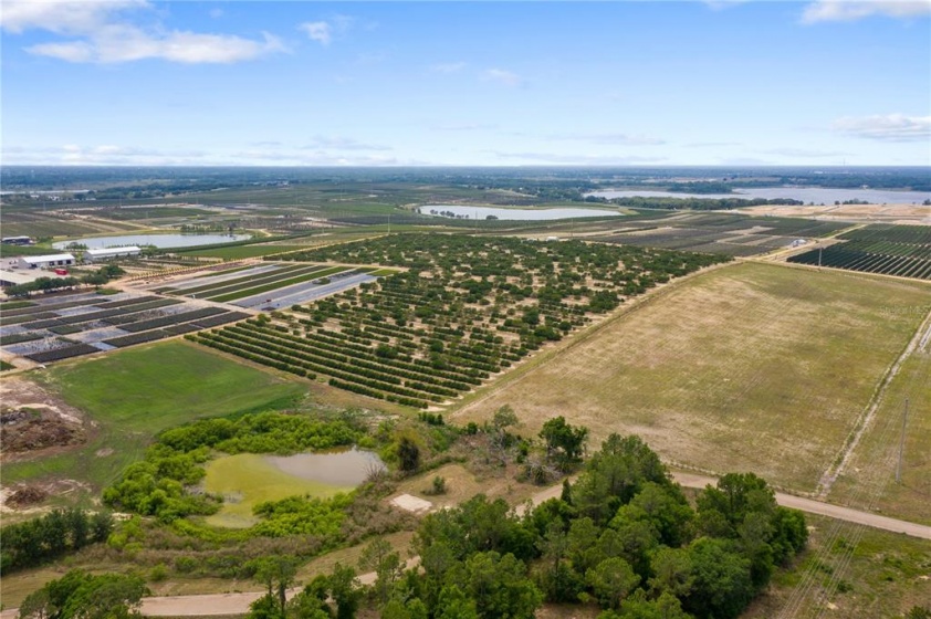 7746 CHERRY LAKE GROVES ROAD, GROVELAND, Florida 34736, ,Land,For Sale,CHERRY LAKE GROVES,O6002315