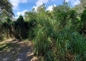ORANGE PLACE, ORLANDO, Florida 32810, ,Land,For Sale,ORANGE,O5977270