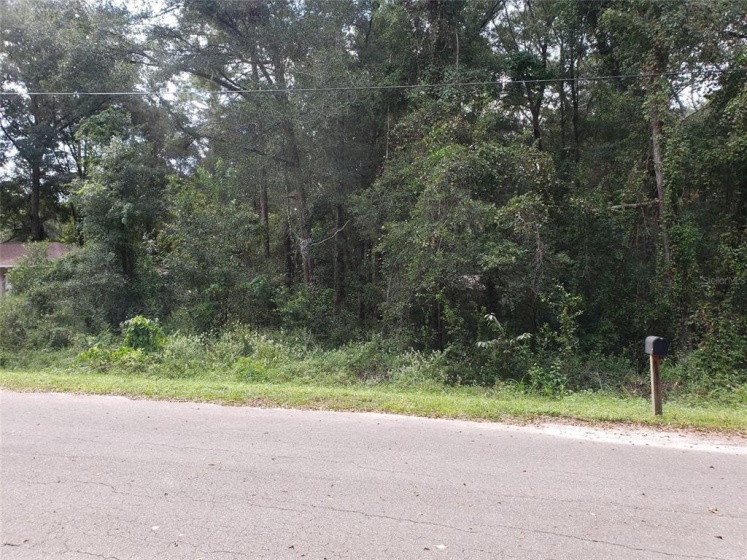 0 65TH COURT, OCALA, Florida 34482, ,Land,For Sale,65TH,T3333781
