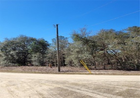 OCALA, Florida 34476, ,Land,For Sale,OM633824