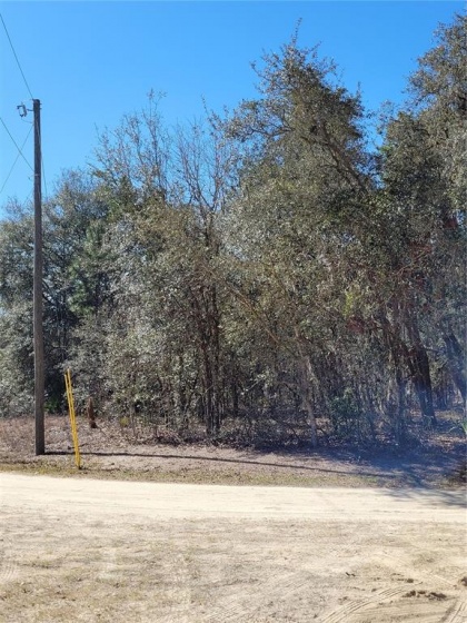 OCALA, Florida 34476, ,Land,For Sale,OM633824