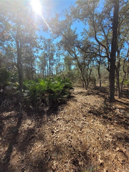 OCALA, Florida 34476, ,Land,For Sale,OM633824