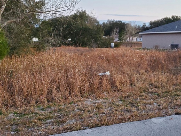 OCALA, Florida 34472, ,Land,For Sale,OM633800
