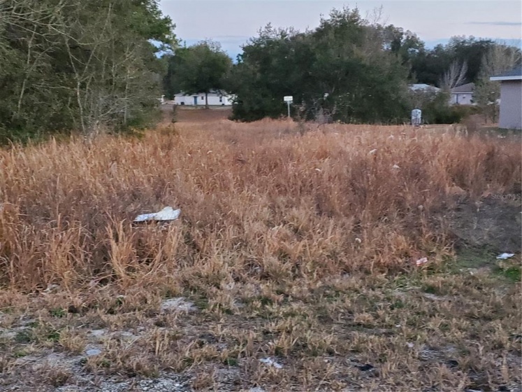 OCALA, Florida 34472, ,Land,For Sale,OM633800